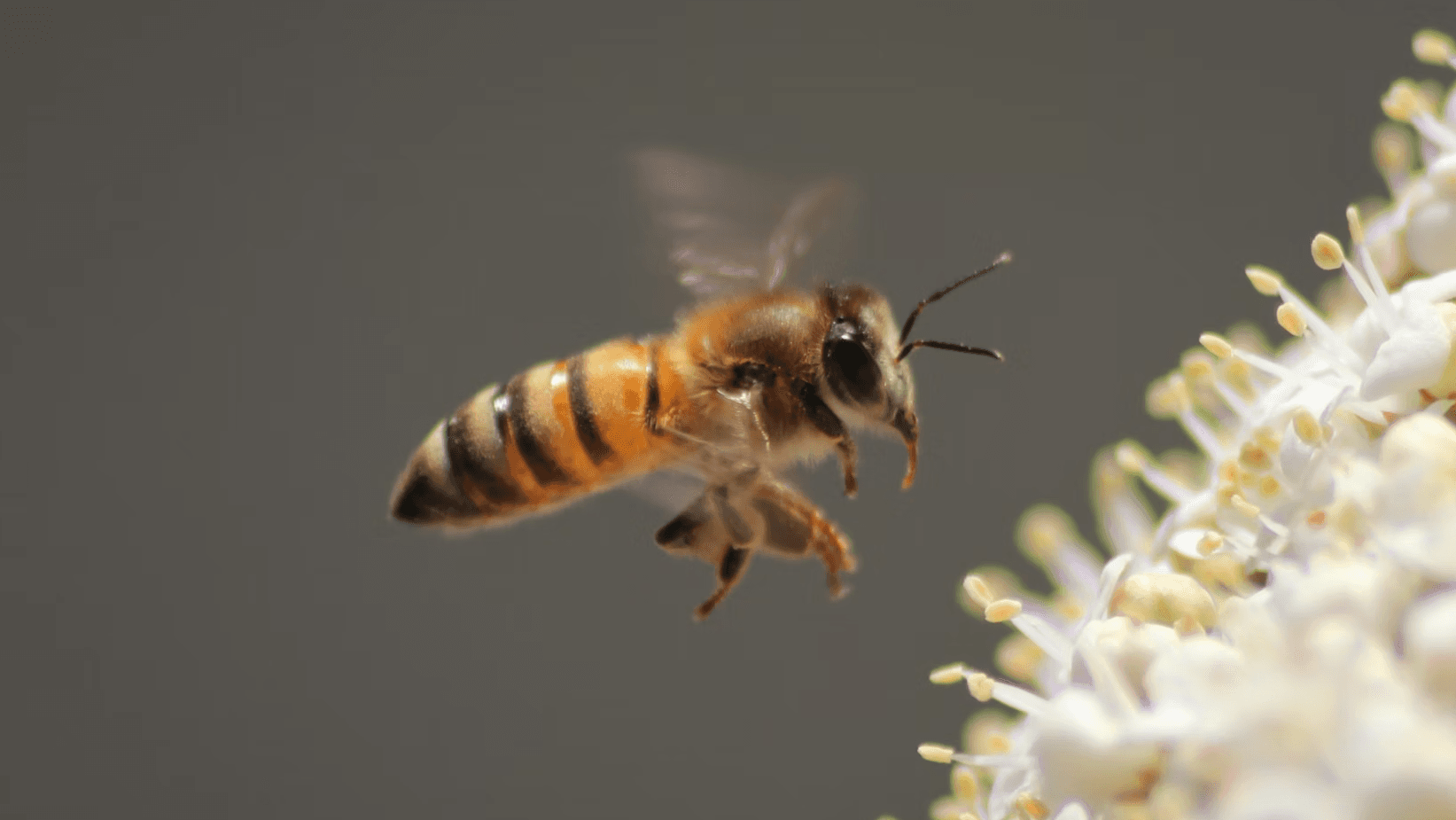 Increasing Sales by Improving Checkout Completion